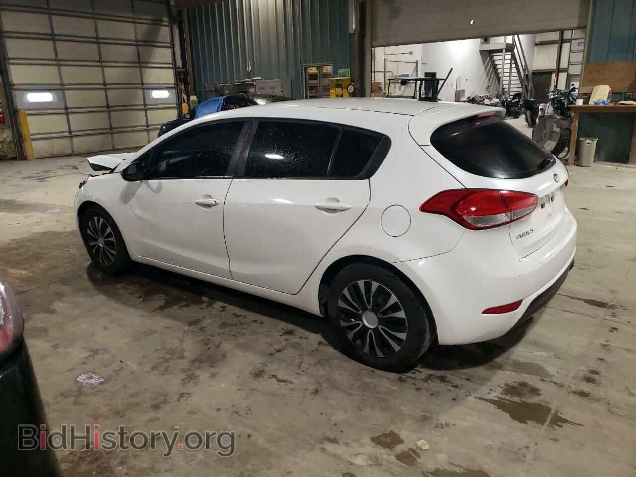 2016 KIA FORTE - VIN: KNAFK5A81G5584876 - Фото 2
