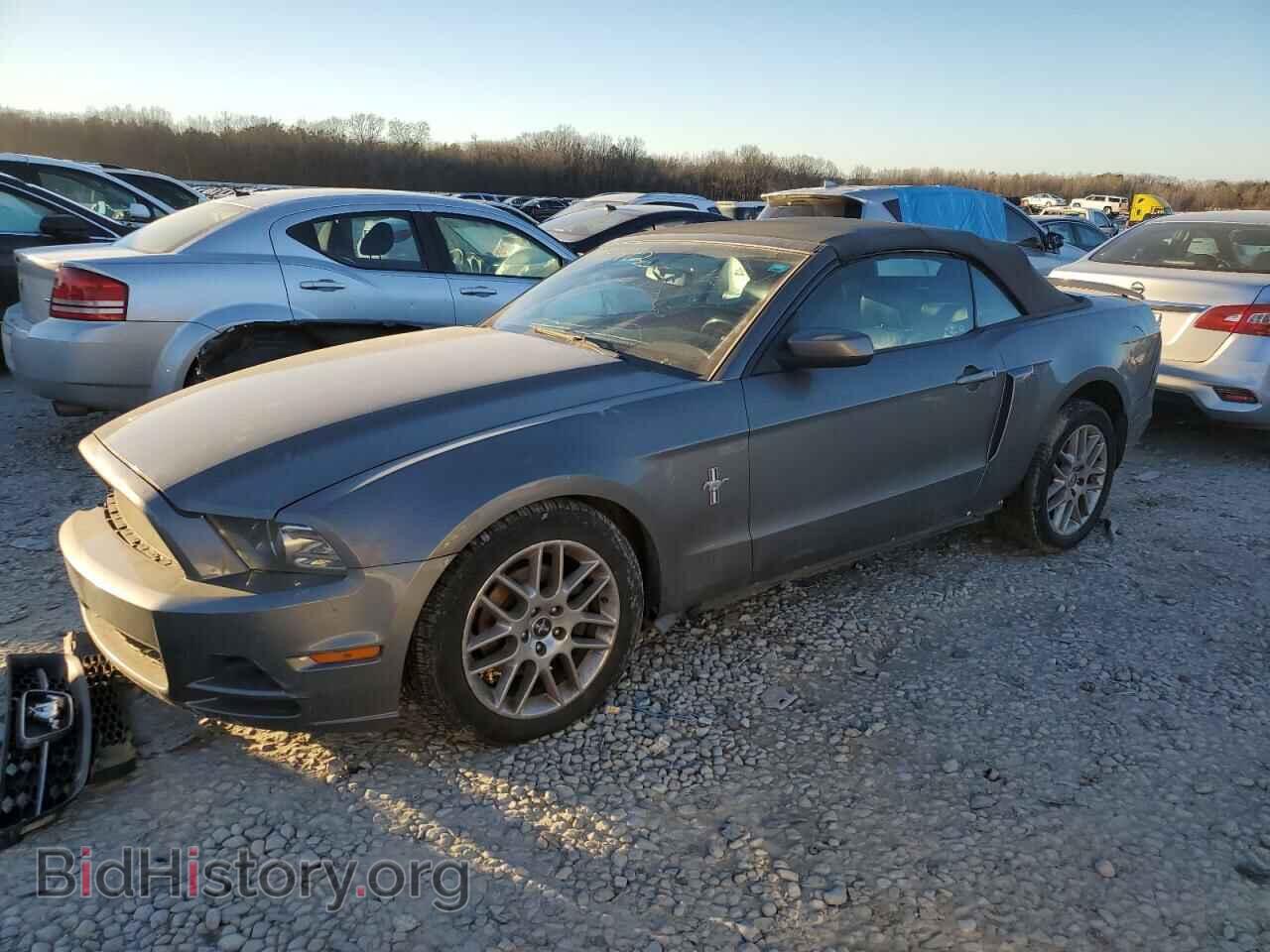 Фотография 1ZVBP8EM3D5238011 - FORD MUSTANG 2013