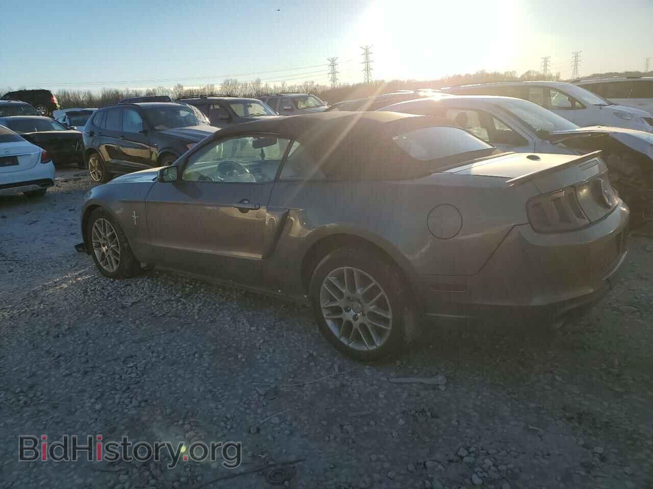 2013 FORD MUSTANG - VIN: 1ZVBP8EM3D5238011 - Фото 2