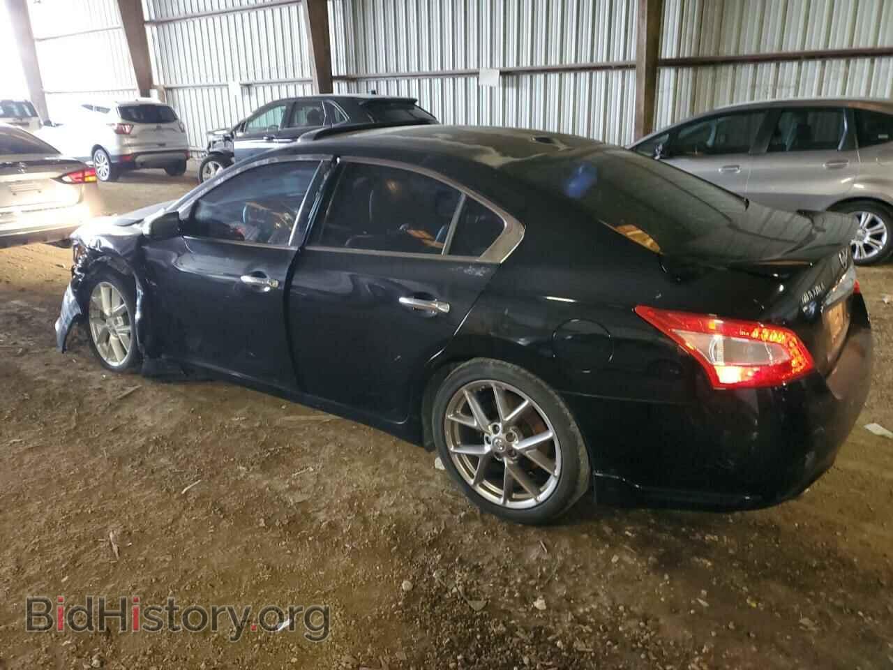 2010 NISSAN MAXIMA - VIN: 1N4AA5AP9AC800683 - Фото 2