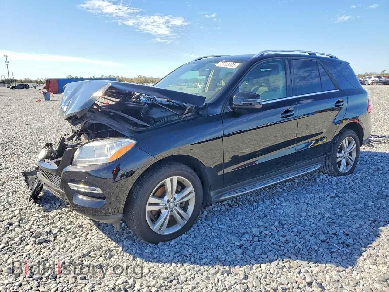 Photo 4JGDA5JB6EA314163 - MERCEDES-BENZ M-CLASS 2014