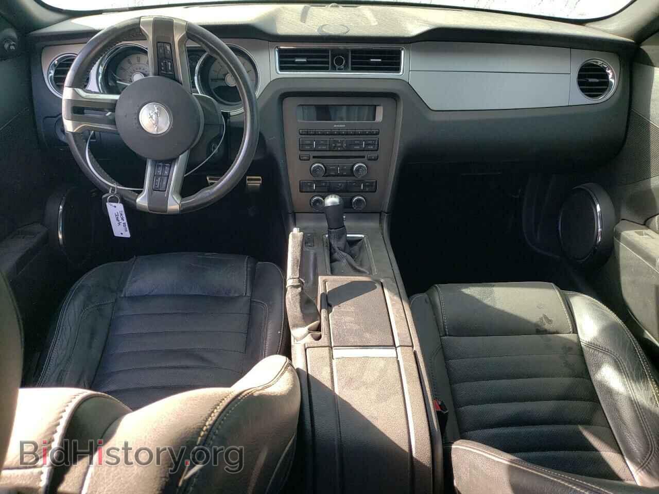 2010 FORD ALL Models - VIN: 1ZVBP8AN3A5123256 - Фото 8