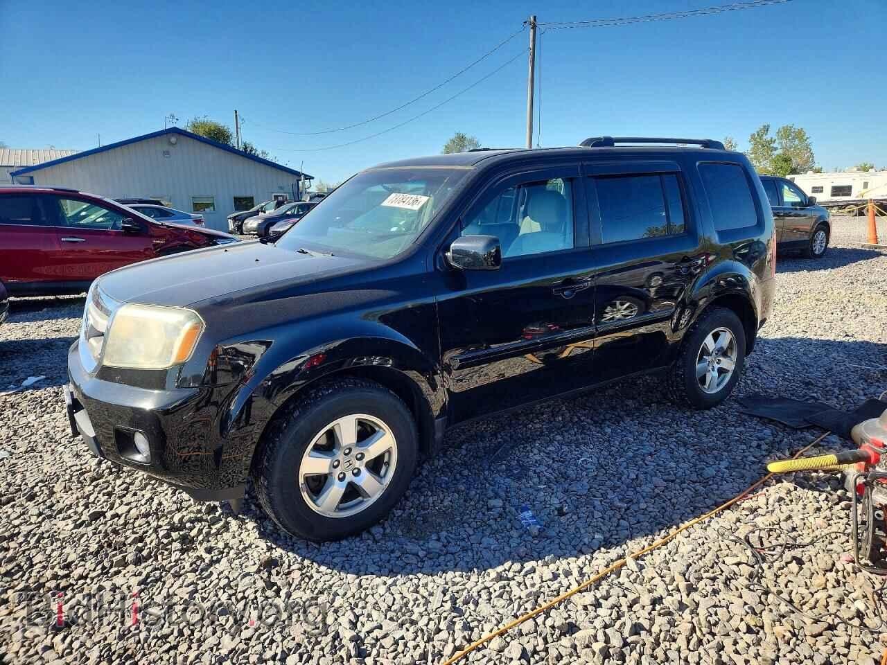 Photo 5FNYF4H42BB041170 - HONDA PILOT 2011