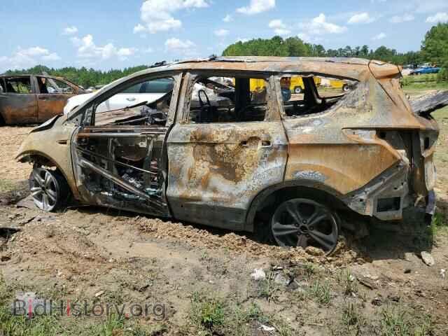 2013 FORD ESCAPE - VIN: 1FMCU0GX3DUC22496 - Фото 2