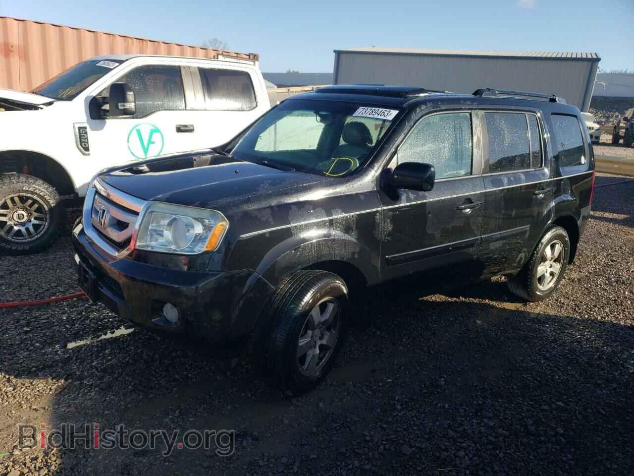Photo 5FNYF3H50BB040540 - HONDA PILOT 2011