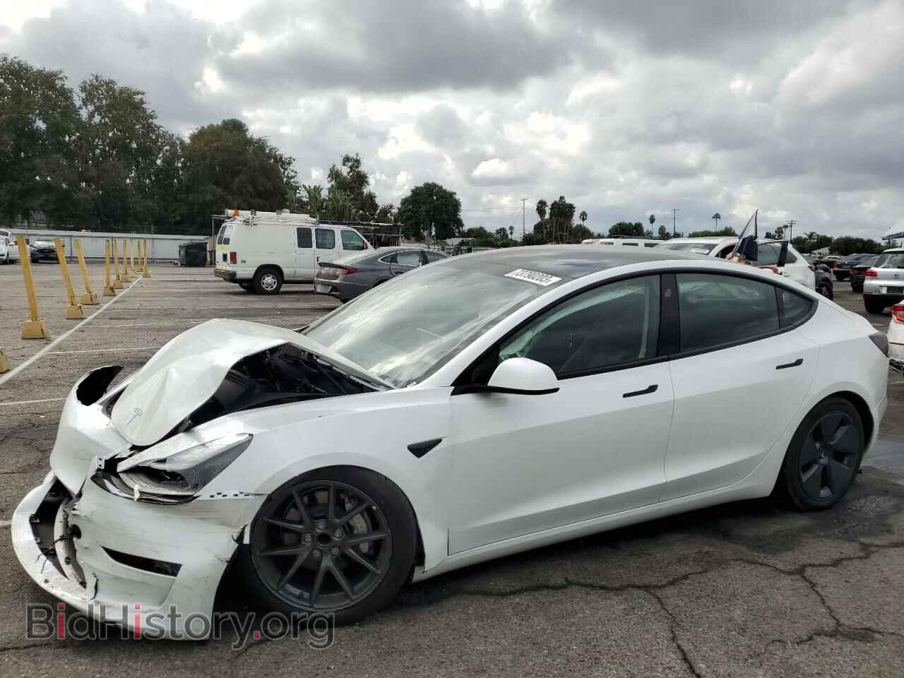 Photo 5YJ3E1EA0PF460552 - TESLA MODEL 3 2023