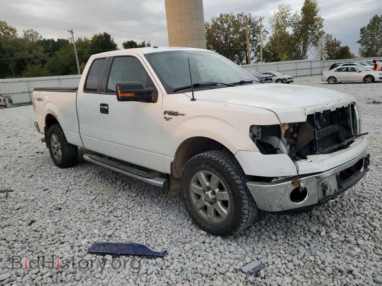 2013 FORD F-150 - VIN: 1FTFX1EF1DFC26382 - Фото 4