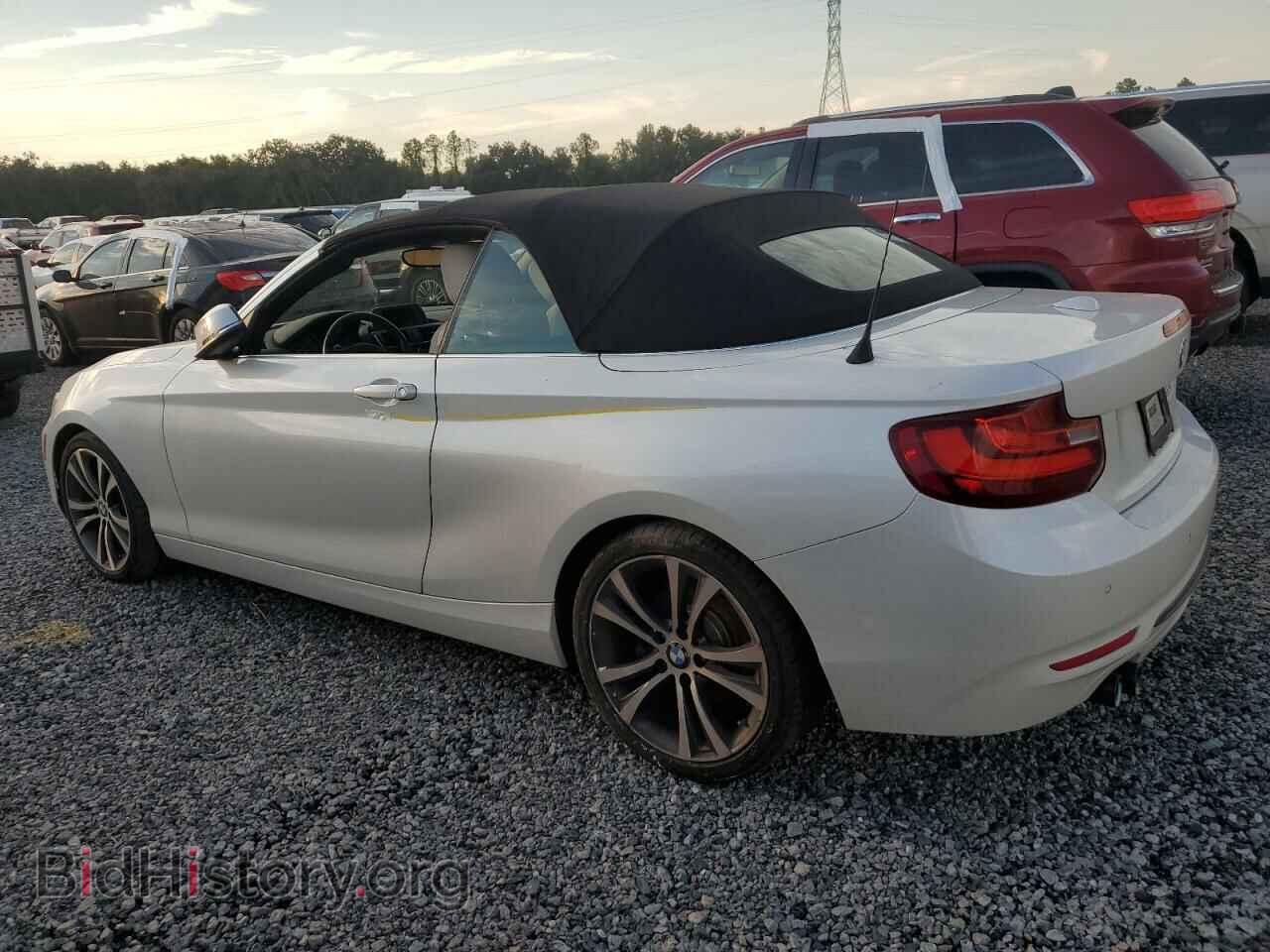 2017 BMW 2 SERIES - VIN: WBA2K9C57HV646808 - Фото 2