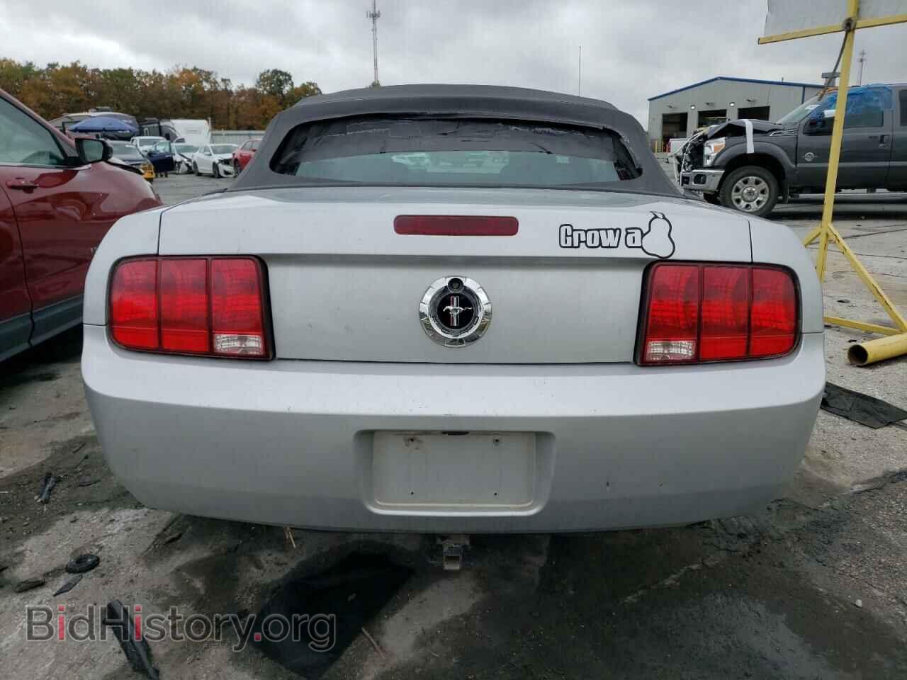 2006 FORD ALL Models - VIN: 1ZVFT84N065103384 - Фото 6