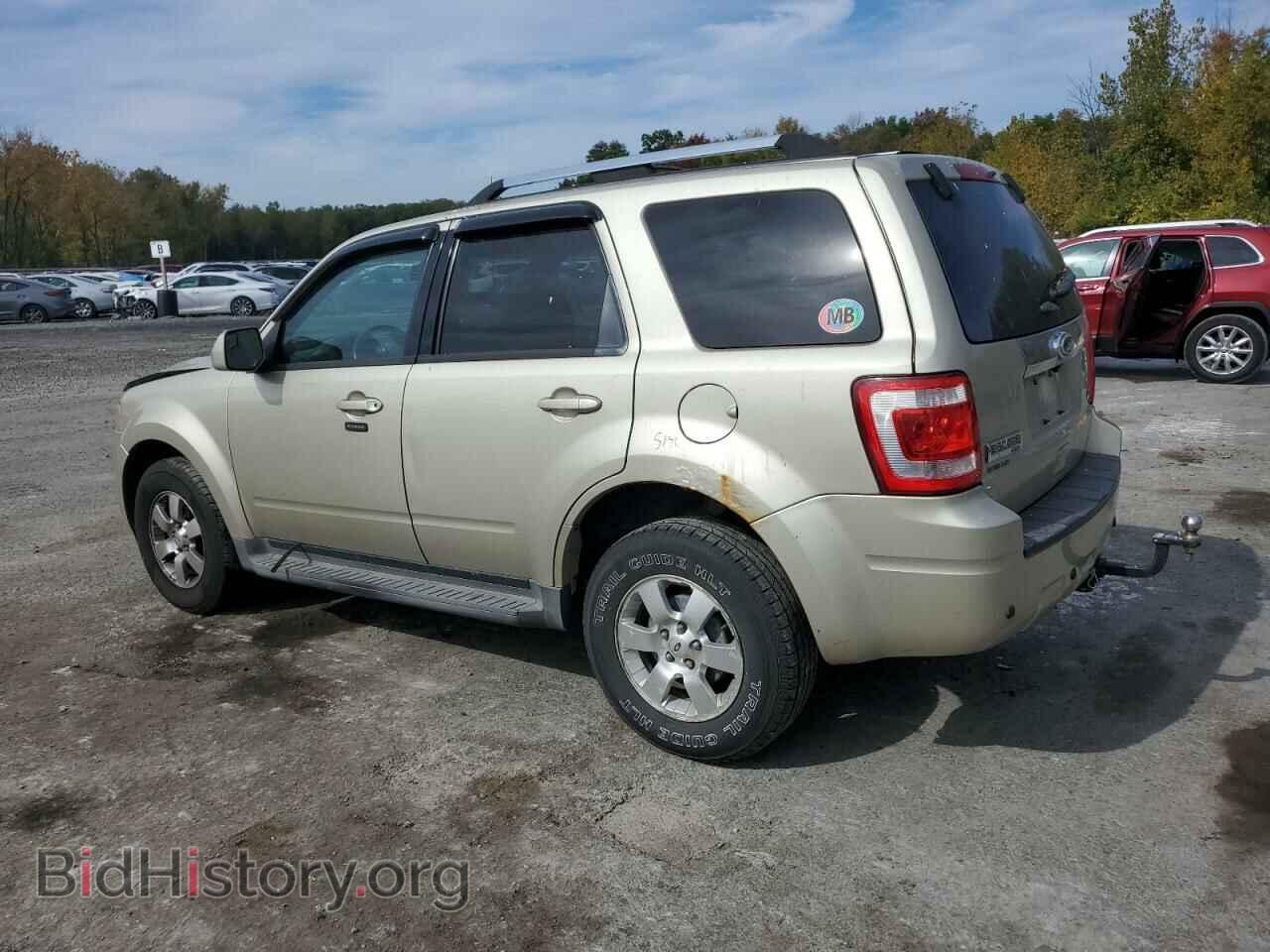 2011 FORD ESCAPE - VIN: 1FMCU9EG7BKC27572 - Фото 2
