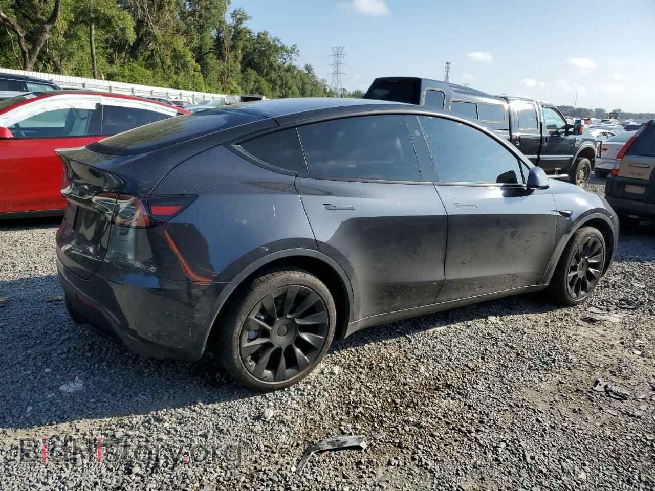2024 TESLA MODEL Y - VIN: 7SAYGDED1RF040543 - Фото 3