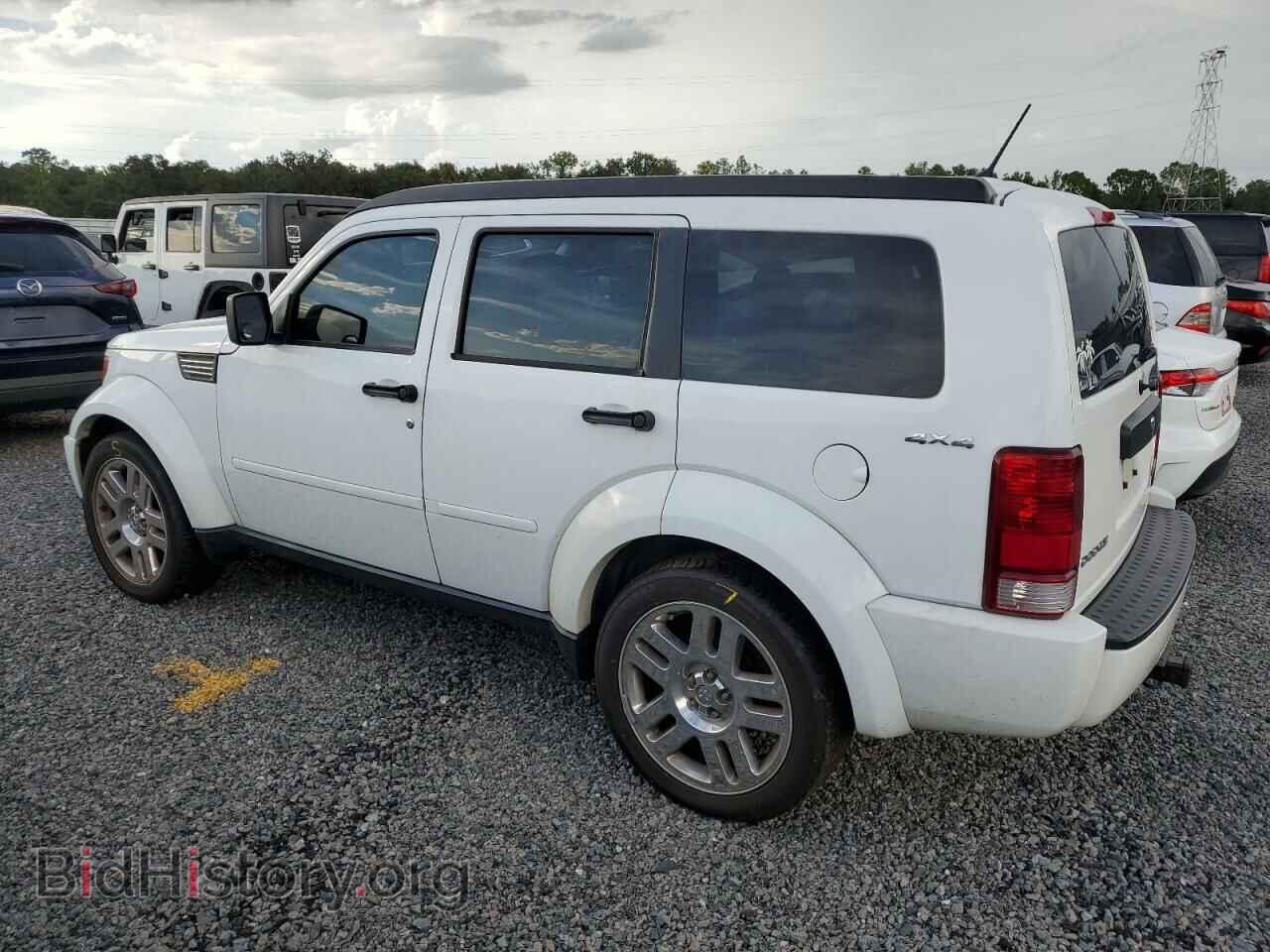2011 DODGE NITRO - VIN: 1D4PU4GK9BW590610 - Фото 2