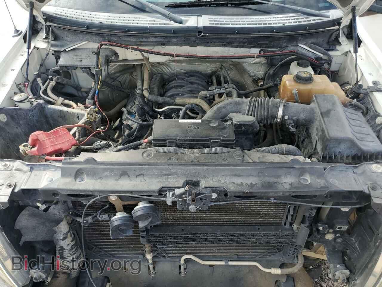 2012 FORD F-150 - VIN: 1FTFX1EF2CFC20010 - Фото 11