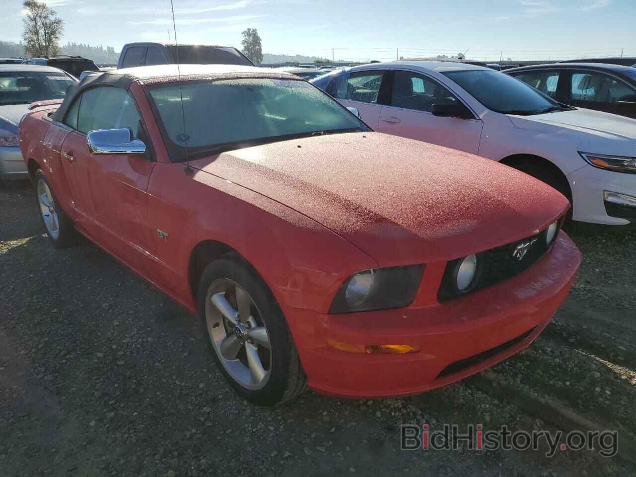 Photo 1ZVFT85HX65260297 - FORD MUSTANG 2006