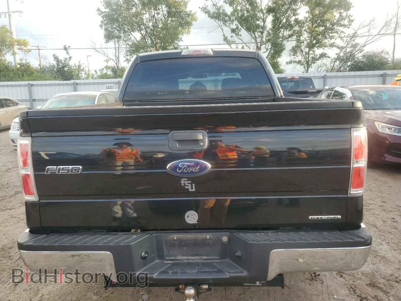 2014 FORD F-150 - VIN: 1FTFW1CF0EKD93203 - Фото 6