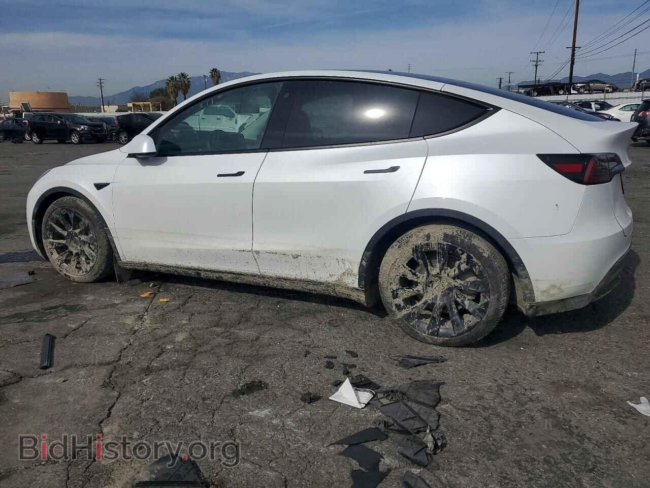 2023 TESLA MODEL Y - VIN: 7SAYGDEE1PA078986 - Фото 2