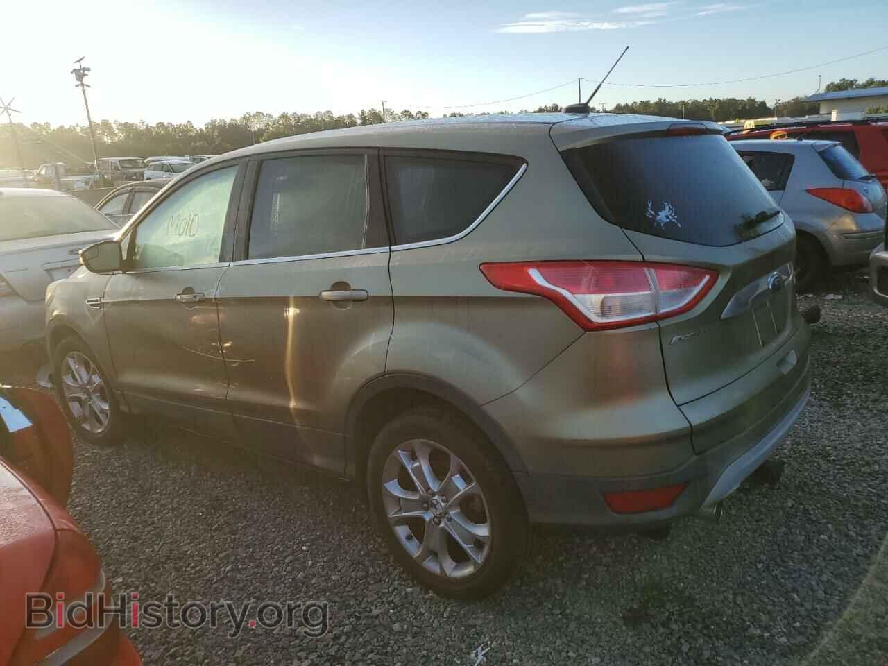 2013 FORD ESCAPE - VIN: 1FMCU0HX9DUC42217 - Фото 2