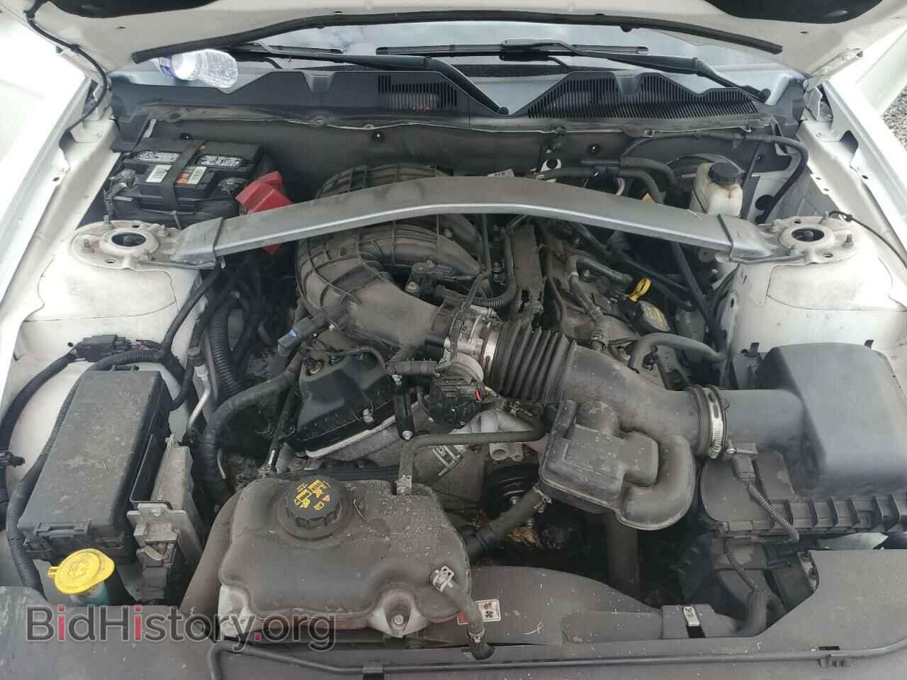 2012 FORD ALL Models - VIN: 1ZVBP8EM1C5213882 - Фото 11