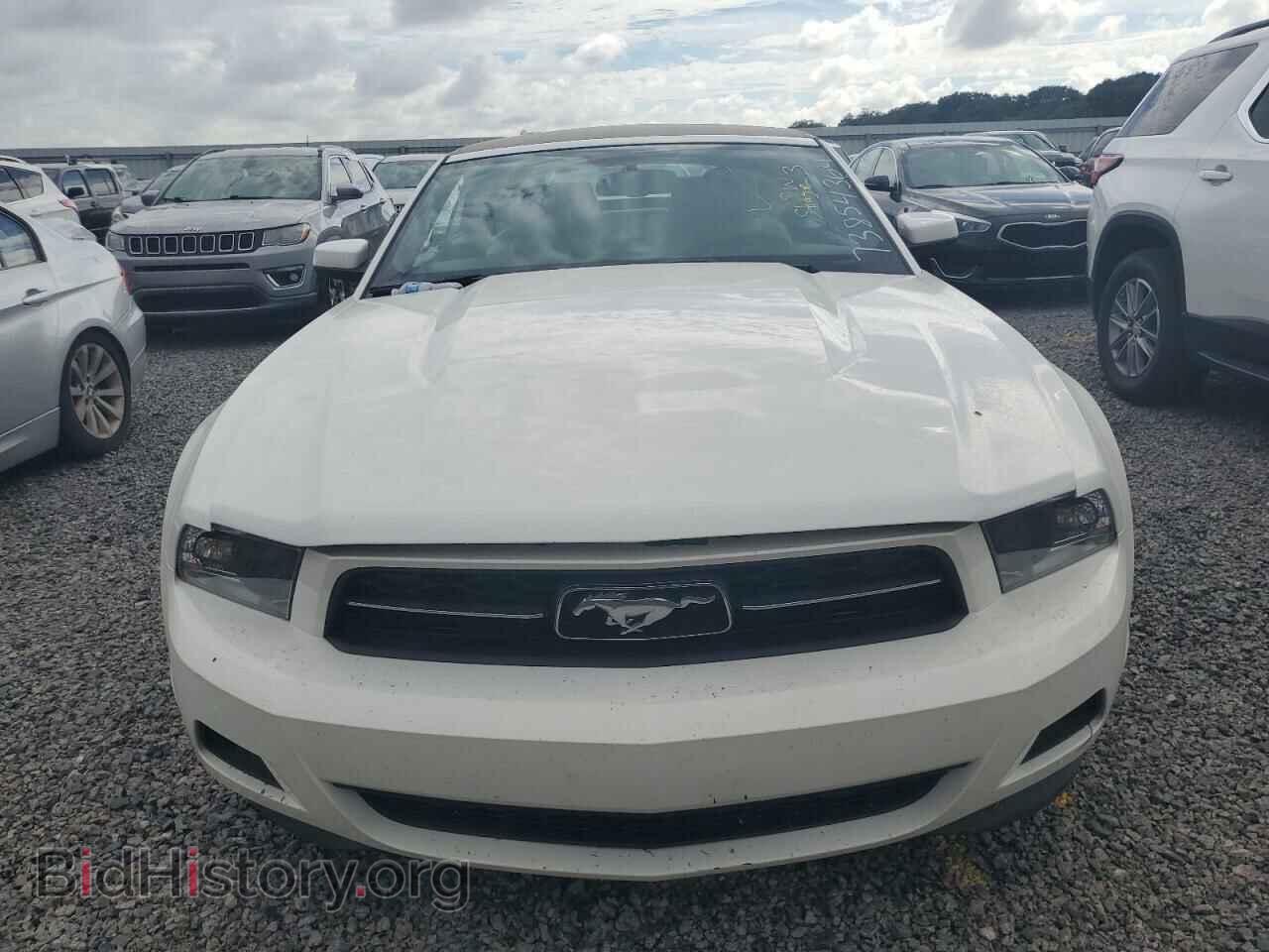 2012 FORD ALL Models - VIN: 1ZVBP8EM1C5213882 - Фото 5