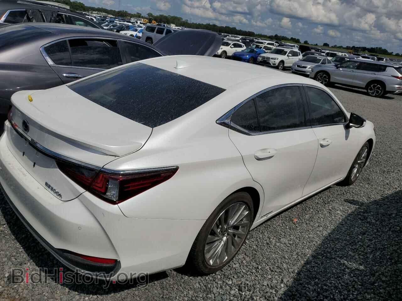 2019 LEXUS ES300 - VIN: JTHB21B11K2043816 - Фото 3