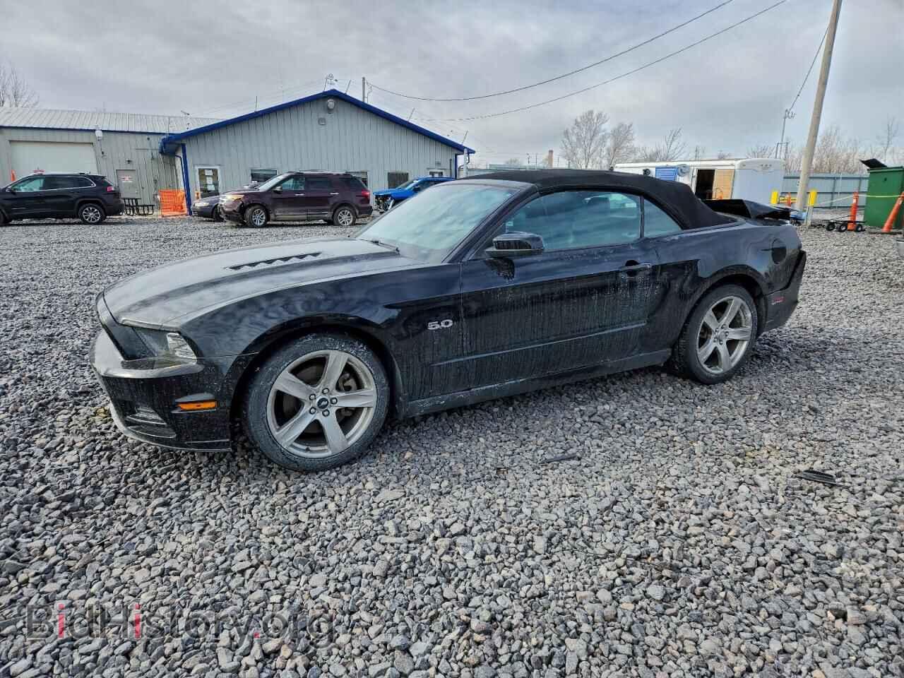 Фотография 1ZVBP8FF8D5240823 - FORD MUSTANG 2013
