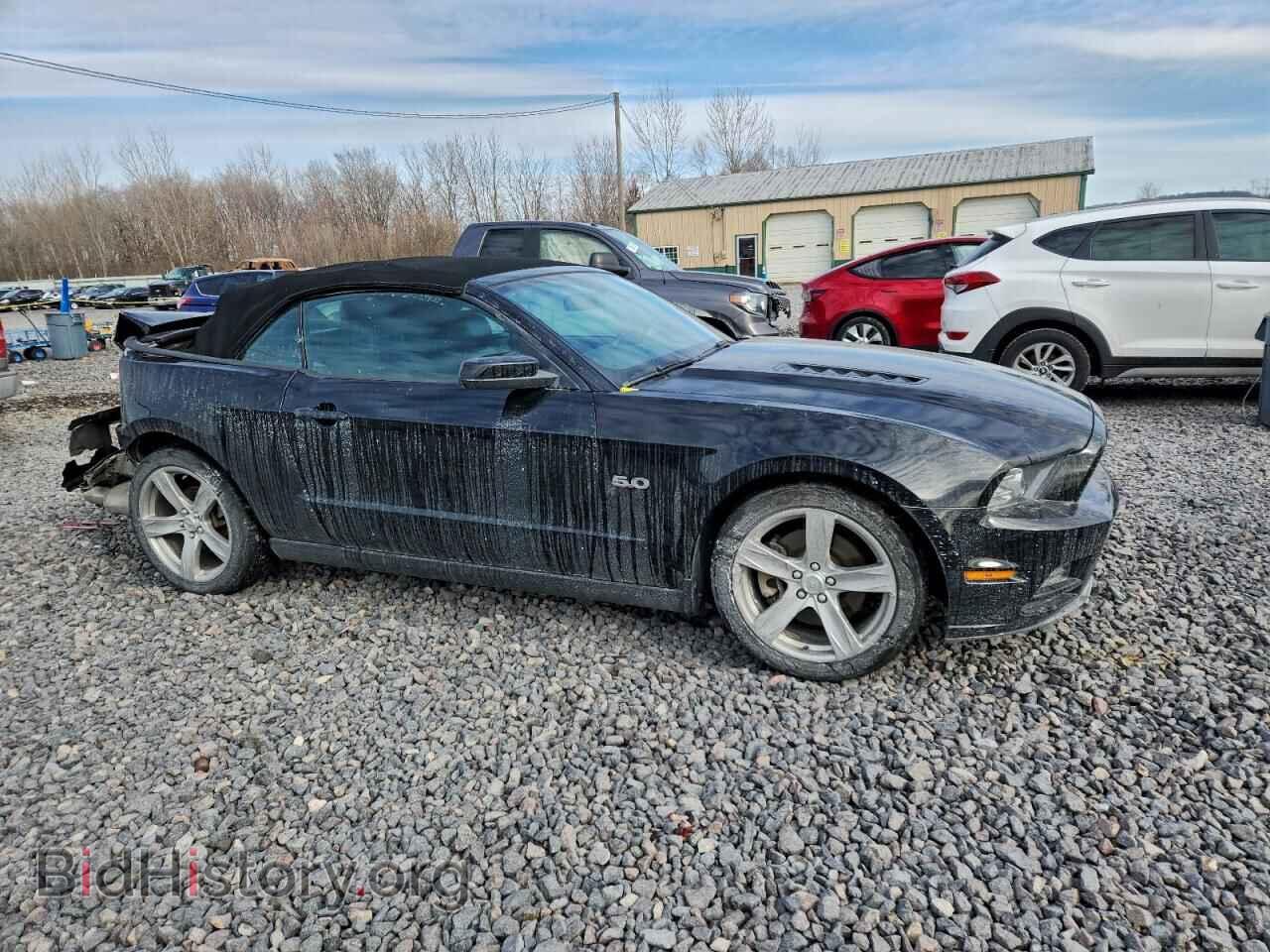 2013 FORD MUSTANG - VIN: 1ZVBP8FF8D5240823 - Фото 4