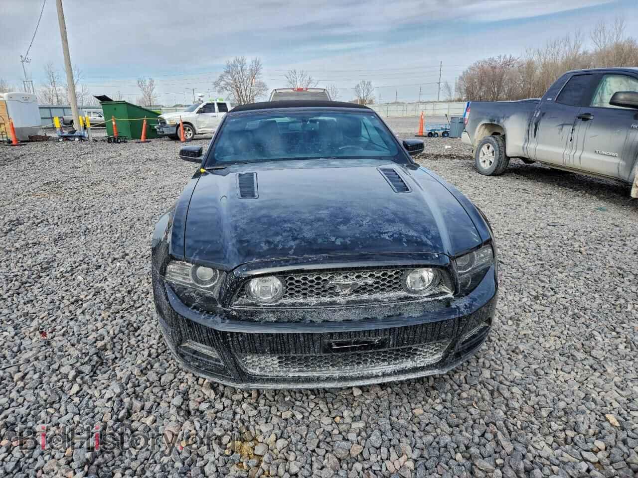 2013 FORD MUSTANG - VIN: 1ZVBP8FF8D5240823 - Фото 5