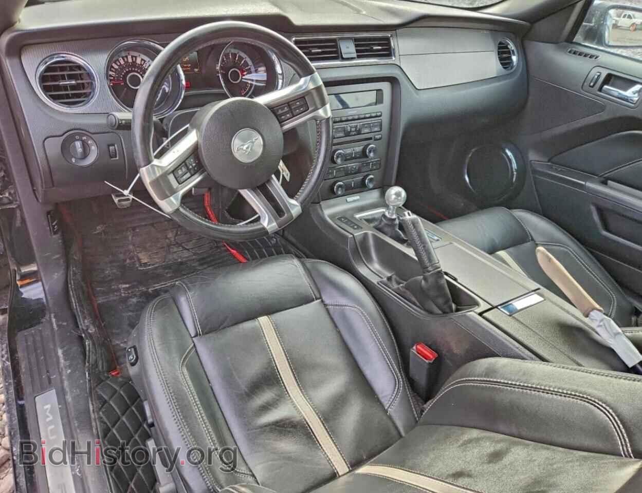2013 FORD MUSTANG - VIN: 1ZVBP8FF8D5240823 - Фото 8