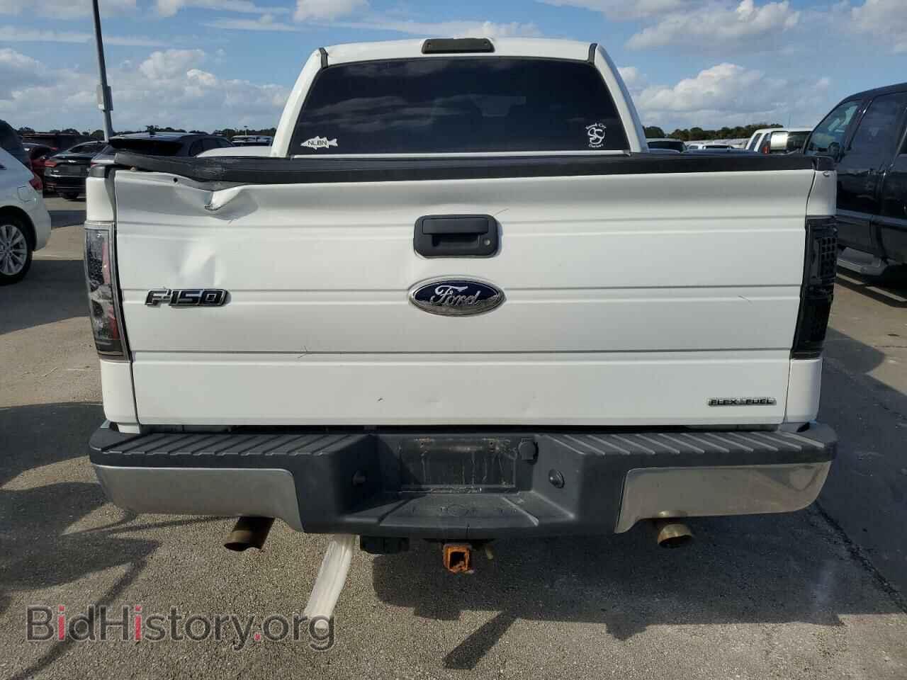 2011 FORD F-150 - VIN: 1FTEW1CM1BFD03572 - Фото 6