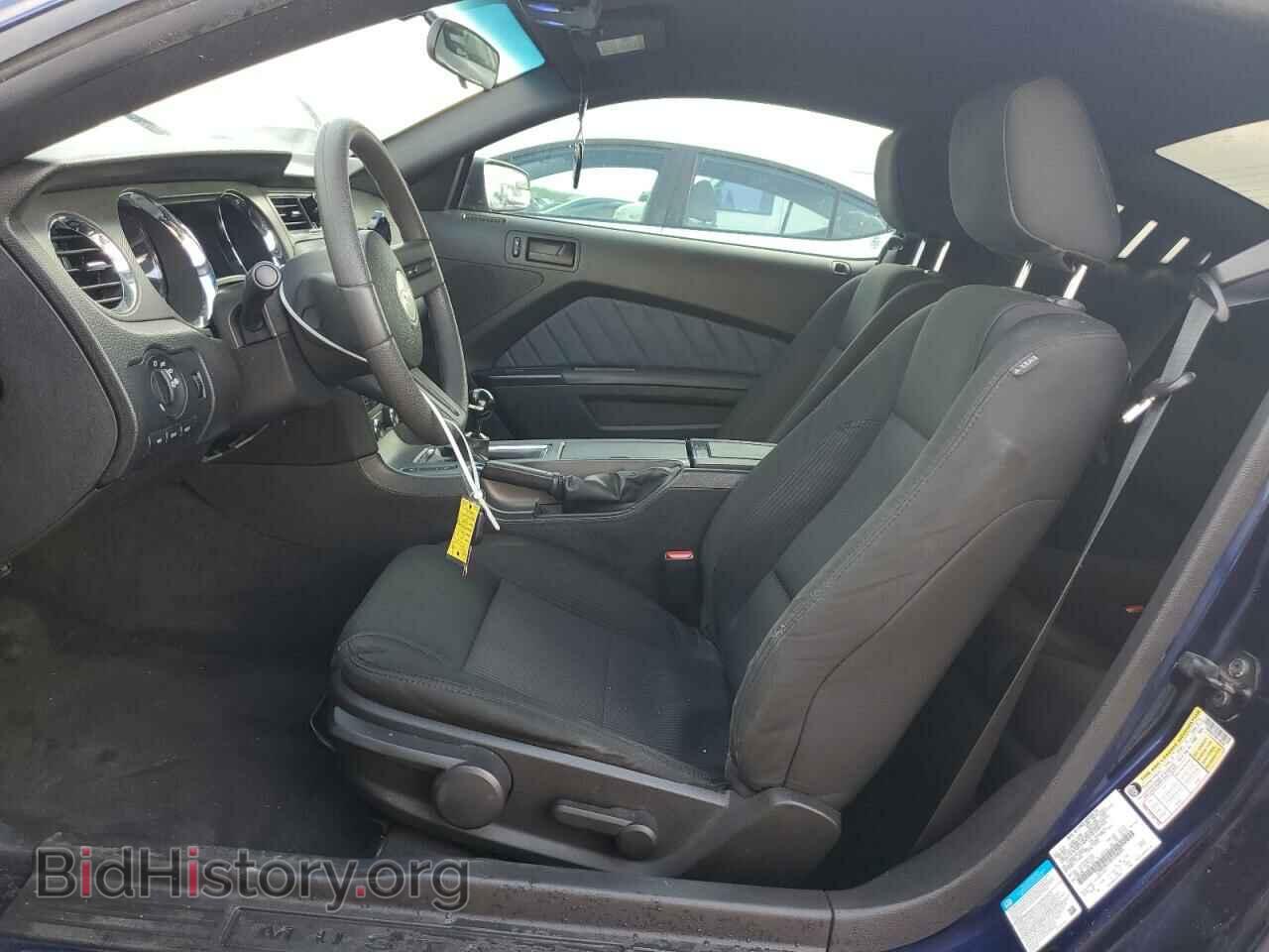 2011 FORD MUSTANG - VIN: 1ZVBP8CF3B5108201 - Фото 7