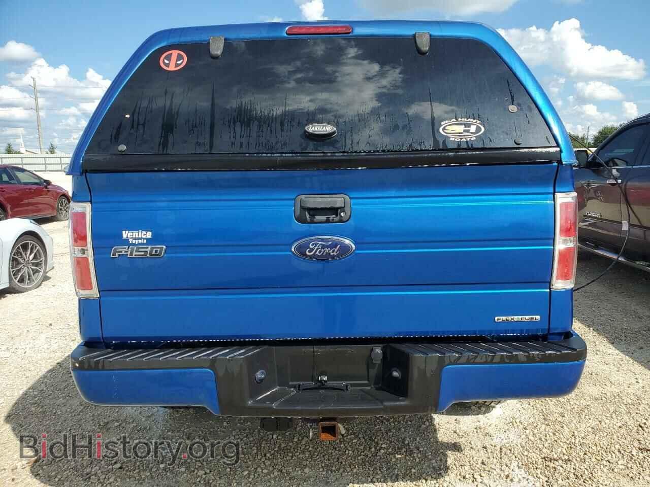 2013 FORD F-150 - VIN: 1FTFX1EF7DFD53699 - Фото 6