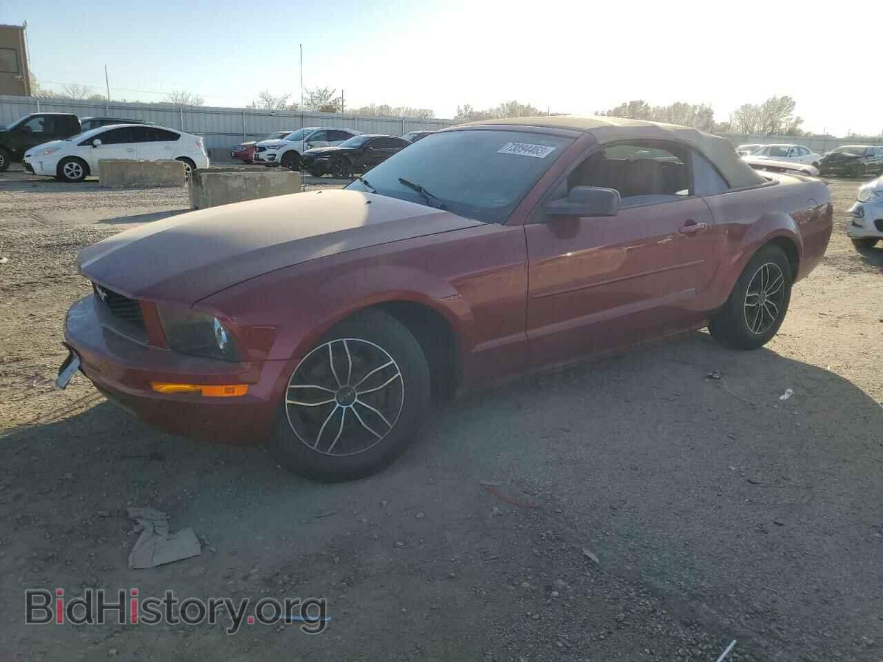 Photo 1ZVFT84N465185202 - FORD ALL Models 2006