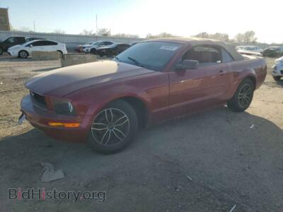2006 Ford ALL MODELS, красный — VIN 1ZVFT84N465185202, Copart
