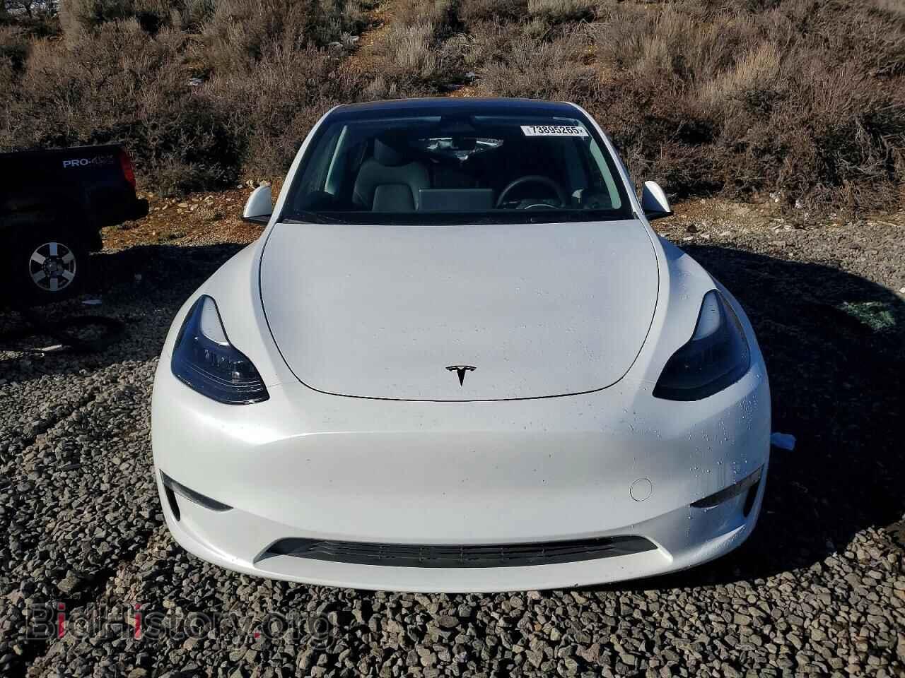 2024 TESLA MODEL Y - VIN: 7SAYGDEE8RA301771 - Фото 5