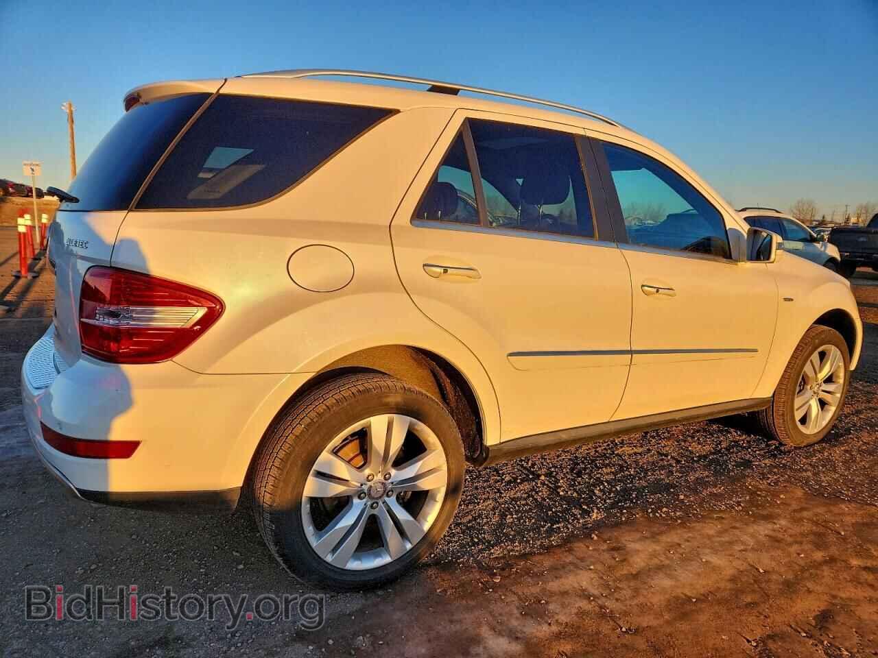 2011 MERCEDES-BENZ M-CLASS - VIN: 4JGBB2FB1BA682175 - Фото 3
