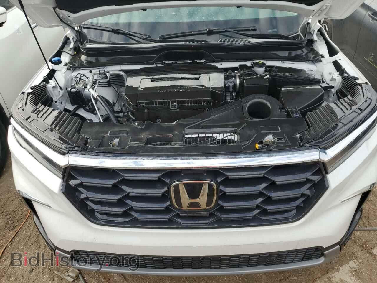2024 HONDA PILOT - VIN: 5FNYG1H49RB032102 - Фото 12