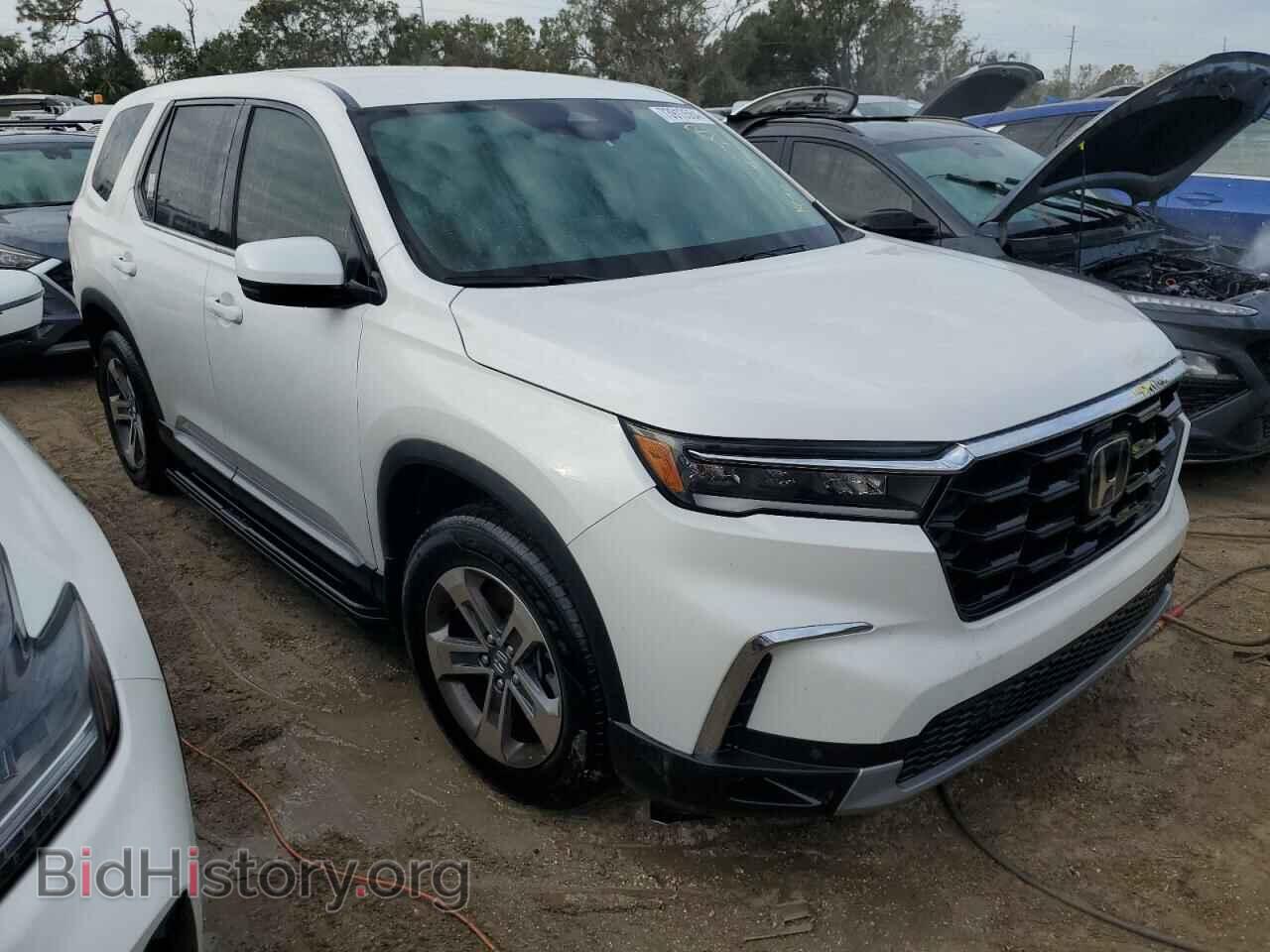 2024 HONDA PILOT - VIN: 5FNYG1H49RB032102 - Фото 4