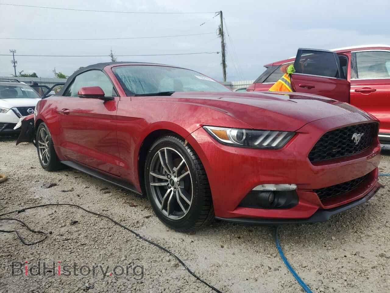 2017 FORD ALL Models - VIN: 1FATP8UH6H5273472 - Фото 4