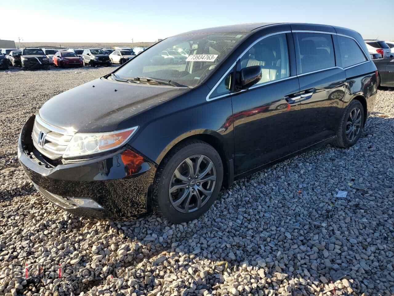 Photo 5FNRL5H99DB020916 - HONDA ODYSSEY 2013