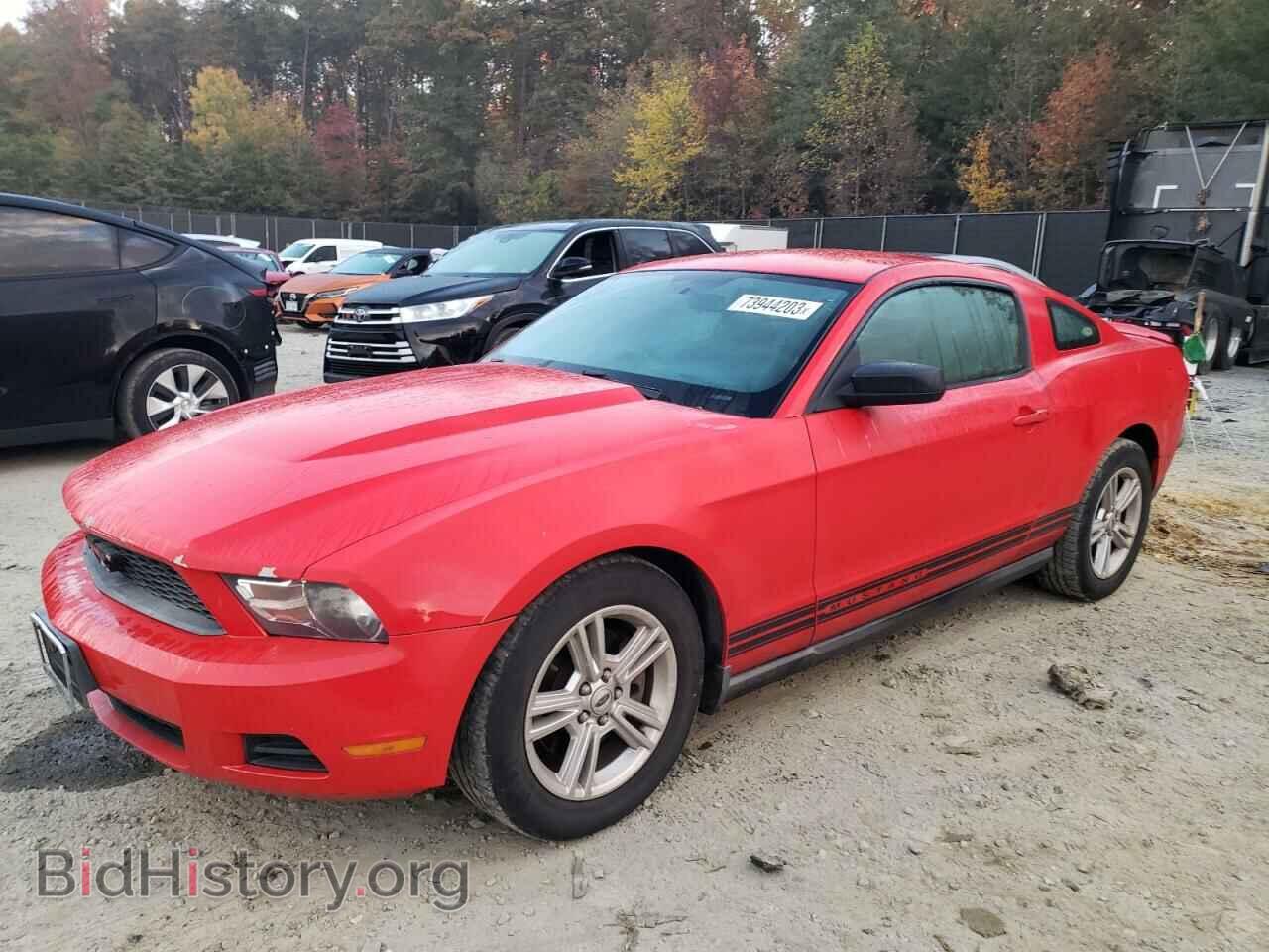 Photo 1ZVBP8AM9B5116773 - FORD ALL Models 2011