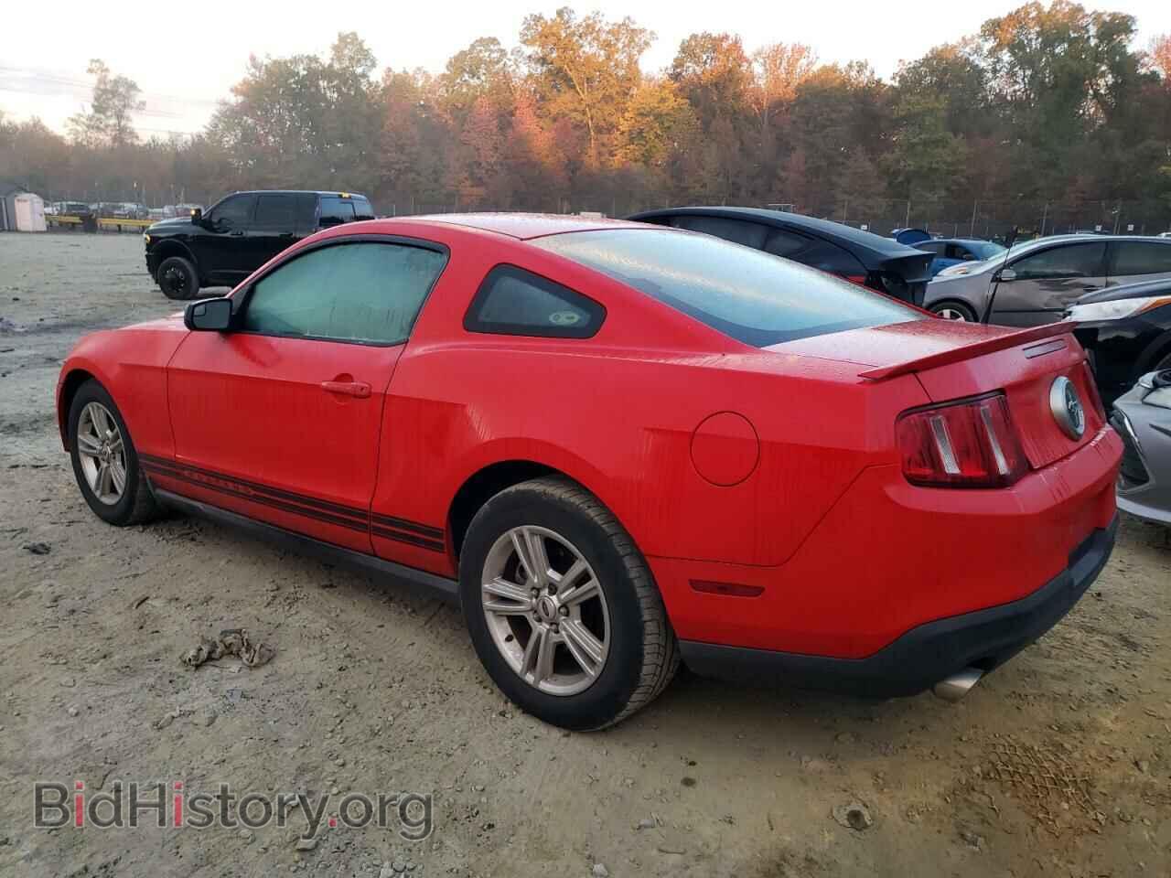2011 FORD ALL Models - VIN: 1ZVBP8AM9B5116773 - Фото 2