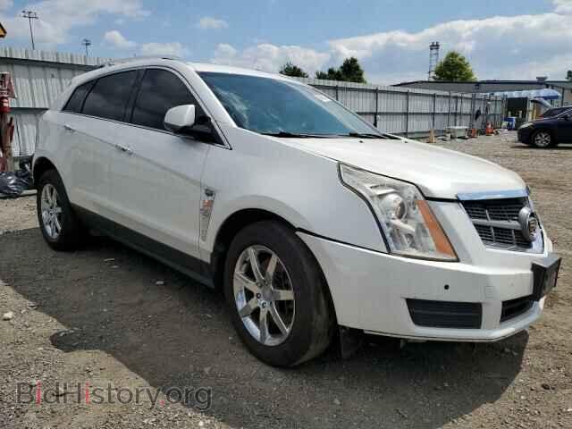 2011 CADILLAC SRX - VIN: 3GYFNDEY7BS576787 - Фото 4