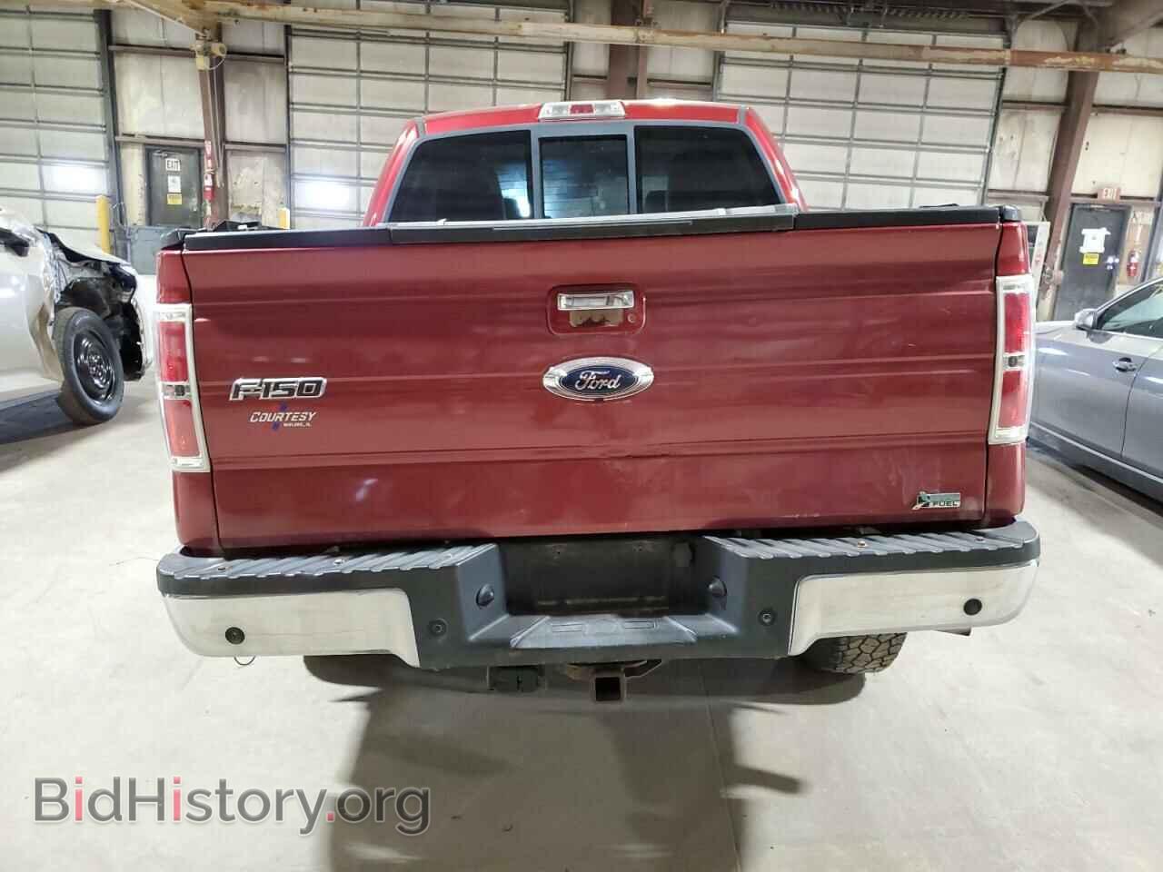 2010 FORD F-150 - VIN: 1FTFW1EV6AFD85145 - Фото 6