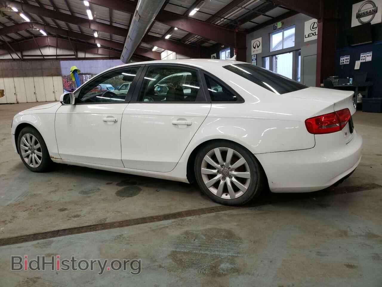 2013 AUDI A4 - VIN: WAUBFAFL3DN046670 - Фото 2