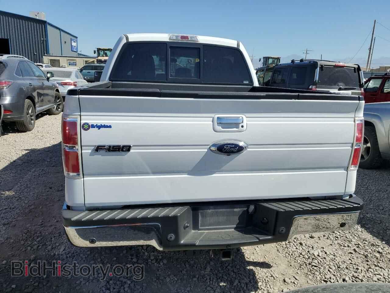 2013 FORD F-150 - VIN: 1FTFW1ET1DFD17905 - Фото 6
