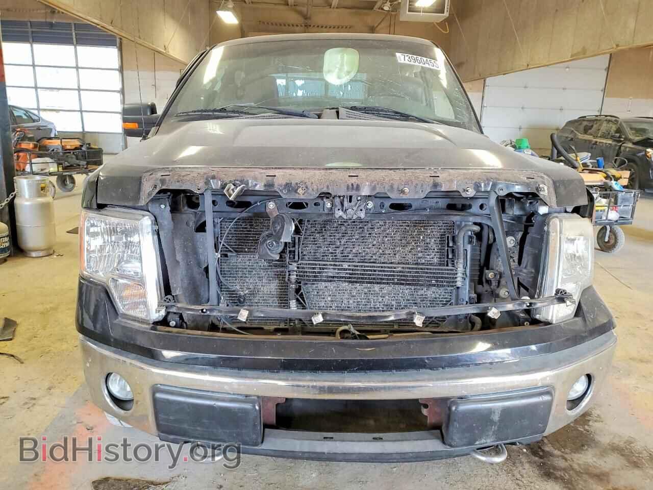 2010 FORD F-150 - VIN: 1FTFX1EV4AFA63360 - Фото 5