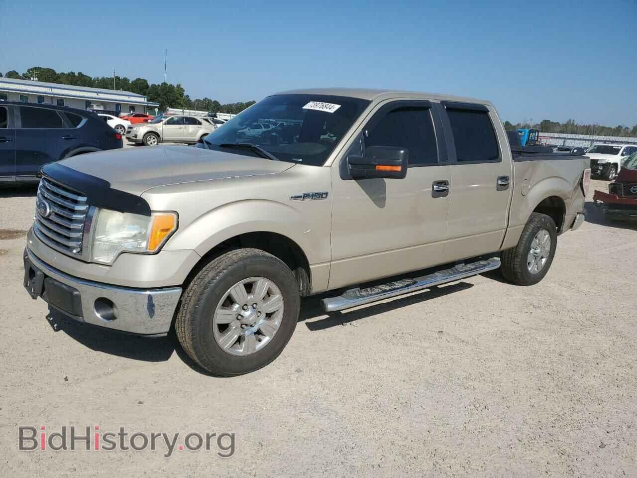 Фотография 1FTFW1CV6AFD61589 - FORD F-150 2010