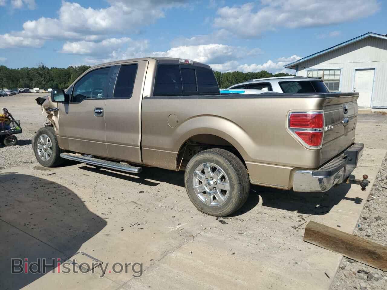 2013 FORD F-150 - VIN: 1FTFX1CF6DKG41045 - Фото 2