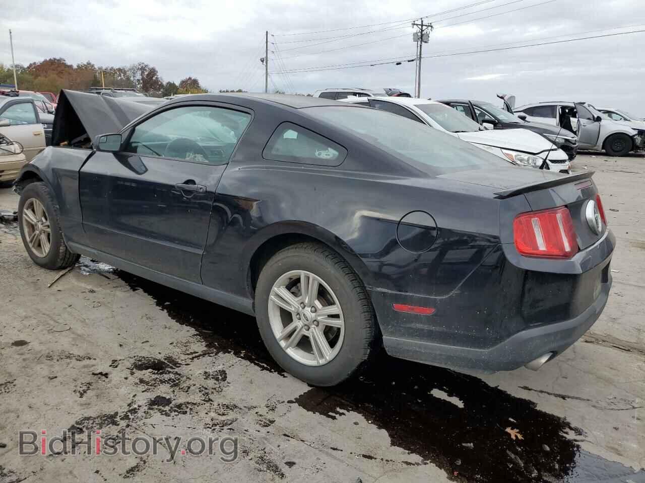 2012 FORD ALL Models - VIN: 1ZVBP8AM5C5255378 - Фото 2