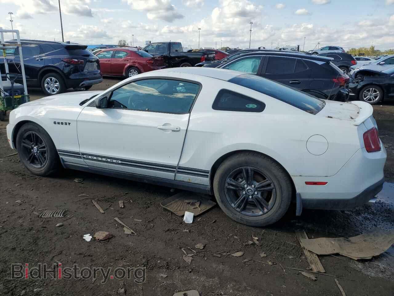 2011 FORD ALL Models - VIN: 1ZVBP8AM8B5168377 - Фото 2